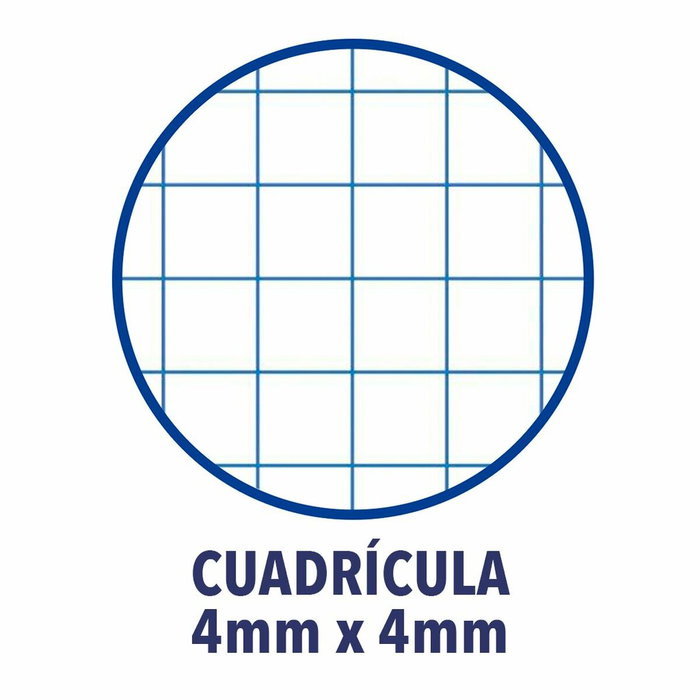 Cahier ENRI Bleu A4 Feuille (10 Unités)