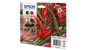 Epson Multipack de cartouches d'encre 503XL (4 couleurs)