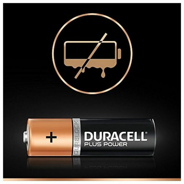 Chargeur + Piles Rechargeables DURACELL CEF14 2 x AA + 2 x AAA HR06/HR03 1300 mAh (1 Unité)
