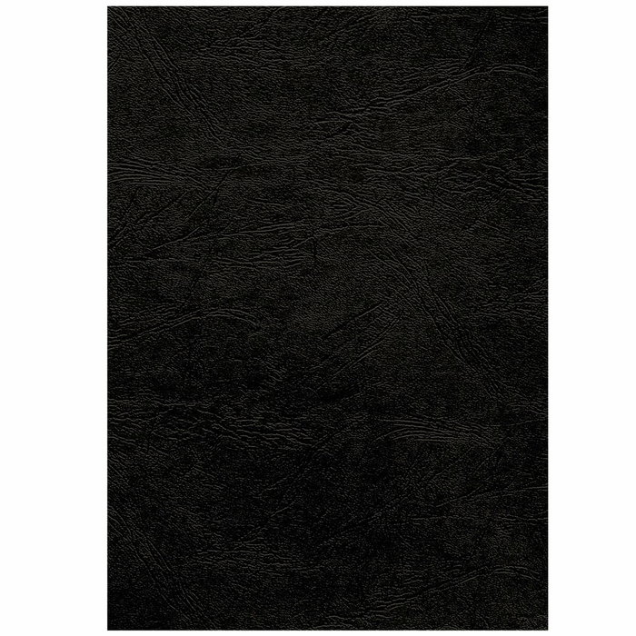 Couvertures de reliure Fellowes Delta 100 Unités Noir A3 Carton Couvertures de reliure Fellowes Delta 100 Unités Noir A3 Carton