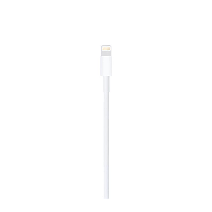 Apple Câble USB vers Lightning MXLY2ZM/A Blanc 1 m Apple Câble USB vers Lightning MXLY2ZM/A Blanc 1 m