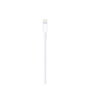 Apple Câble USB vers Lightning MXLY2ZM/A Blanc 1 m