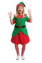 My Other Me Déguisement d'Elfe Taille 10-12 ans pour Enfant Vert