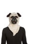 My Other Me Masque de déguisement bouledogue avec mâchoire mobile Taille Unique M