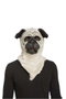 My Other Me Masque de déguisement bouledogue avec mâchoire mobile Taille Unique M