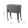 BigBuy Home Glacière Fresh Gris Métal 74 x 43 x 80 cm
