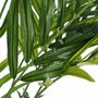 BigBuy Home Plante décorative Vert PVC Bambou 200 cm
