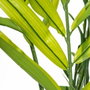 BigBuy Home Plante décorative Vert PVC Bambou 200 cm