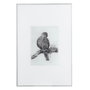BigBuy Home Toile 60 x 2,5 x 90 cm Oiseau