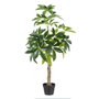 BigBuy Home Plante décorative Vert PVC 54 x 52 x 120 cm