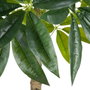 BigBuy Home Plante décorative Vert PVC 54 x 52 x 120 cm