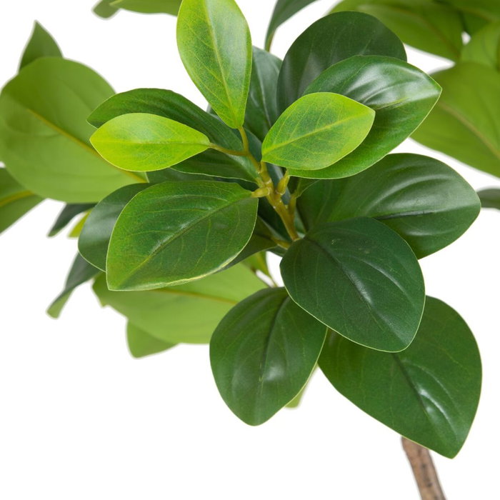 BigBuy Home Plante décorative Vert PVC 145 cm Peperomia BigBuy Home Plante décorative Vert PVC 145 cm Peperomia