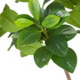BigBuy Home Plante décorative Vert PVC 145 cm Peperomia