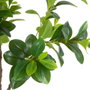 BigBuy Home Plante décorative Vert PVC 145 cm Peperomia