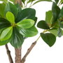 BigBuy Home Plante décorative Vert PVC 145 cm Peperomia