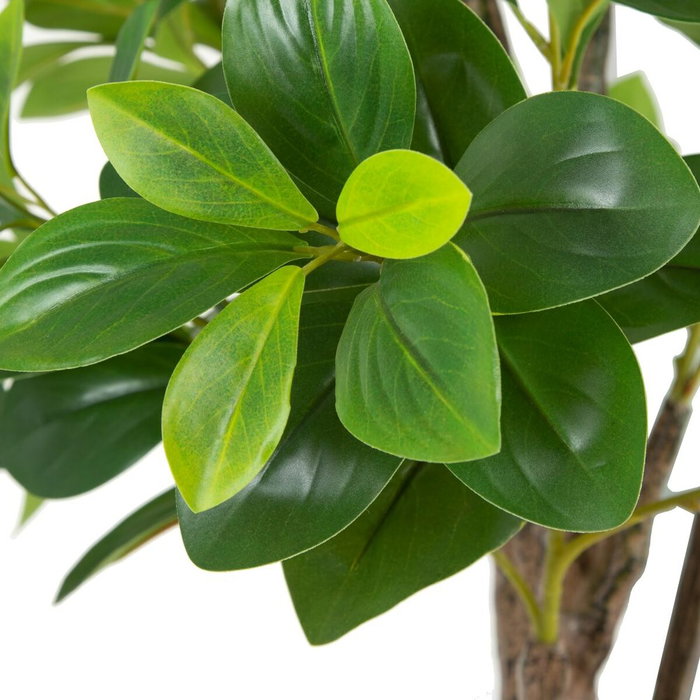 BigBuy Home Plante décorative Vert PVC 145 cm Peperomia BigBuy Home Plante décorative Vert PVC 145 cm Peperomia