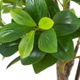 BigBuy Home Plante décorative Vert PVC 145 cm Peperomia