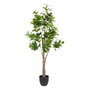 BigBuy Home Plante décorative Vert PVC 145 cm Peperomia