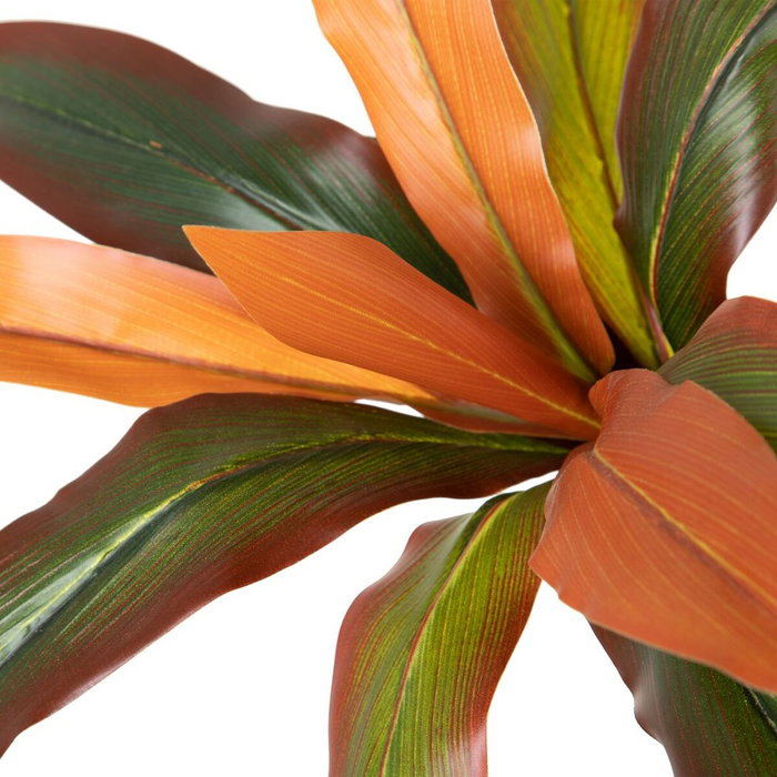 BigBuy Home Plante décorative Dracaena Marron Vert PVC 140 cm BigBuy Home Plante décorative Dracaena Marron Vert PVC 140 cm