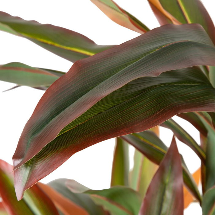 BigBuy Home Plante décorative Dracaena Marron Vert PVC 140 cm BigBuy Home Plante décorative Dracaena Marron Vert PVC 140 cm