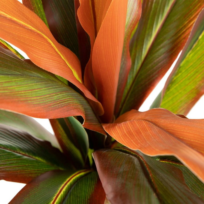 BigBuy Home Plante décorative Dracaena Marron Vert PVC 140 cm BigBuy Home Plante décorative Dracaena Marron Vert PVC 140 cm