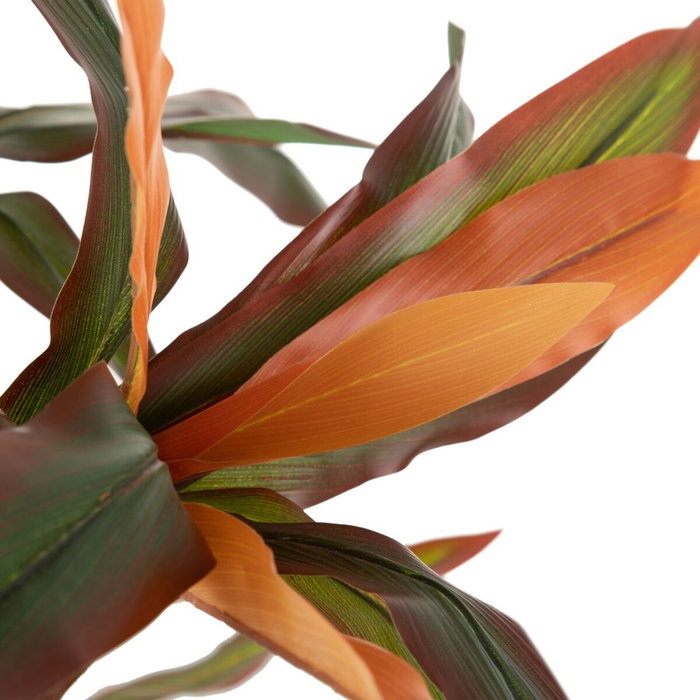 BigBuy Home Plante décorative Dracaena Marron Vert PVC 140 cm BigBuy Home Plante décorative Dracaena Marron Vert PVC 140 cm