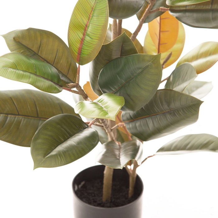BigBuy Home Plante décorative Ficus Vert foncé