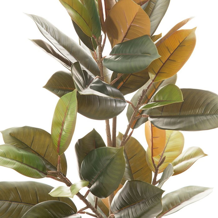 BigBuy Home Plante décorative Ficus Vert foncé