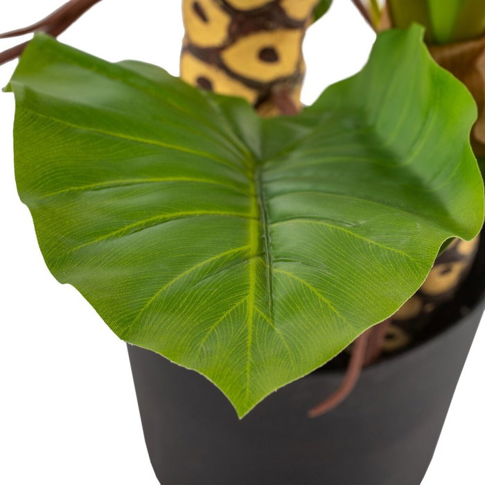 BigBuy Home Plante décorative Vert Philodendron 80 x 90 x 140 cm BigBuy Home Plante décorative Vert Philodendron 80 x 90 x 140 cm