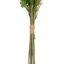 BigBuy Home Fleurs décoratives Rose 20 x 20 x 50 cm