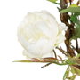 BigBuy Home Fleurs décoratives Blanc Pivoine 100 x 27 x 20 cm