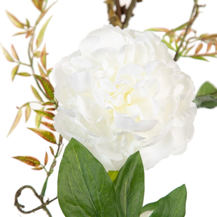 BigBuy Home Fleurs décoratives Blanc Pivoine 160 x 30 x 24 cm BigBuy Home Fleurs décoratives Blanc Pivoine 160 x 30 x 24 cm