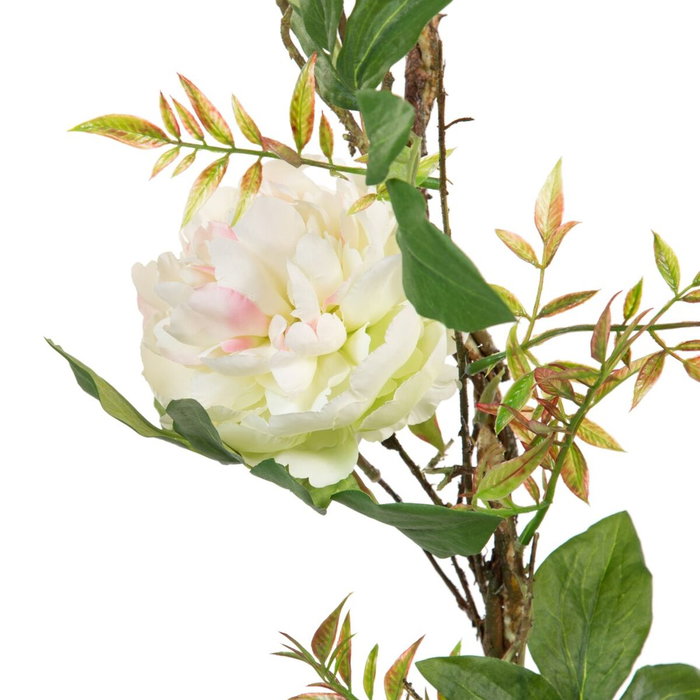 BigBuy Home Fleurs décoratives Blanc Pivoine 160 x 30 x 24 cm BigBuy Home Fleurs décoratives Blanc Pivoine 160 x 30 x 24 cm