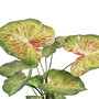 Plante décorative 48 x 46 x 55 cm Rouge Vert PVC