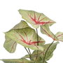 BigBuy Home Plante décorative Rouge Vert PVC 40 x 35 x 55 cm