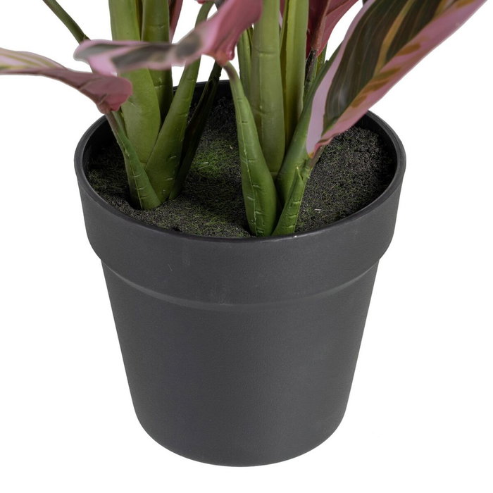 BigBuy Home Plante décorative Rose Vert PVC