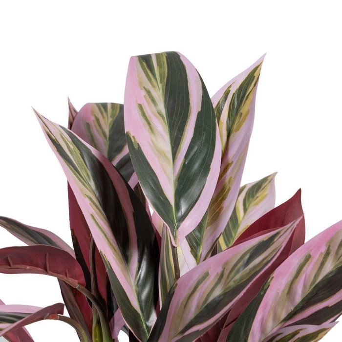 BigBuy Home Plante décorative Rose Vert PVC