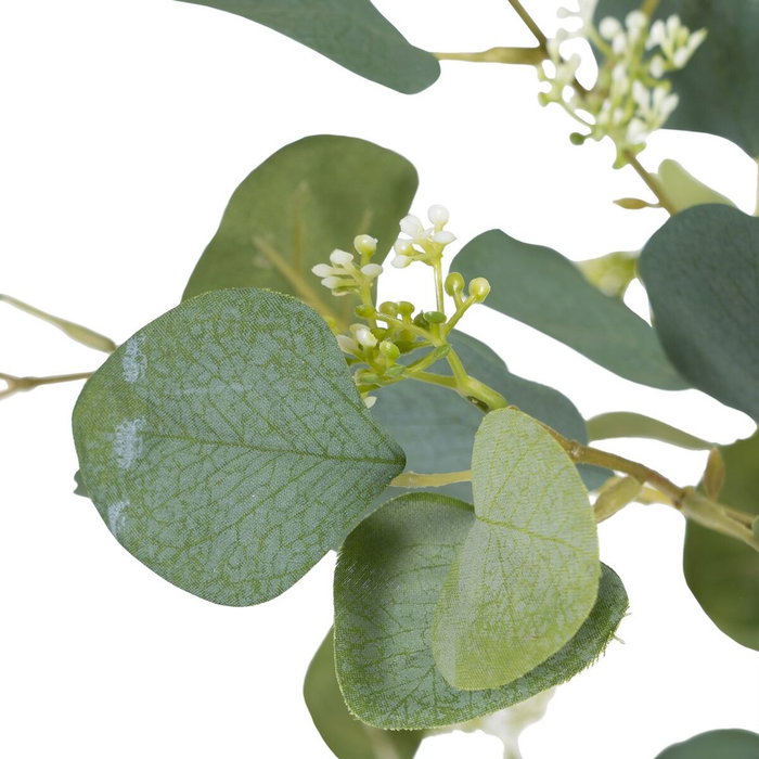 BigBuy Home Plante décorative Eucalyptus Vert et Noir