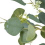 BigBuy Home Plante décorative Eucalyptus Vert et Noir