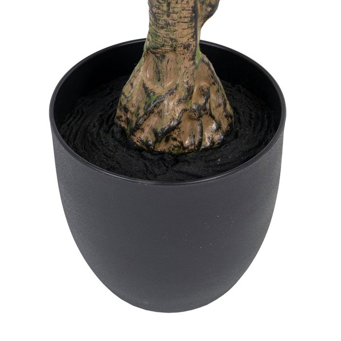 BigBuy Home Plante décorative Eucalyptus Vert et Noir
