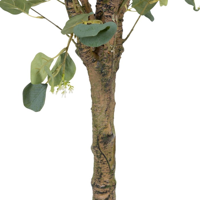 BigBuy Home Plante décorative Eucalyptus Vert et Noir