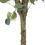 BigBuy Home Plante décorative Eucalyptus Vert et Noir