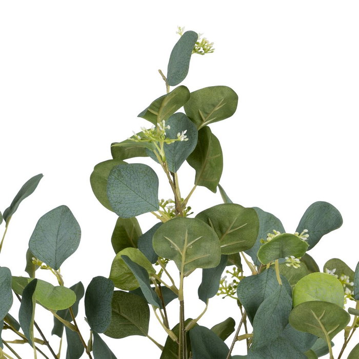 BigBuy Home Plante décorative Eucalyptus Vert et Noir