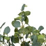 BigBuy Home Plante décorative Eucalyptus Vert et Noir