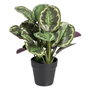 BigBuy Home Plante décorative 37 x 37 x 41 cm Vert PVC