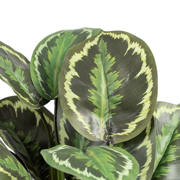 BigBuy Home Plante décorative 37 x 37 x 41 cm Vert PVC