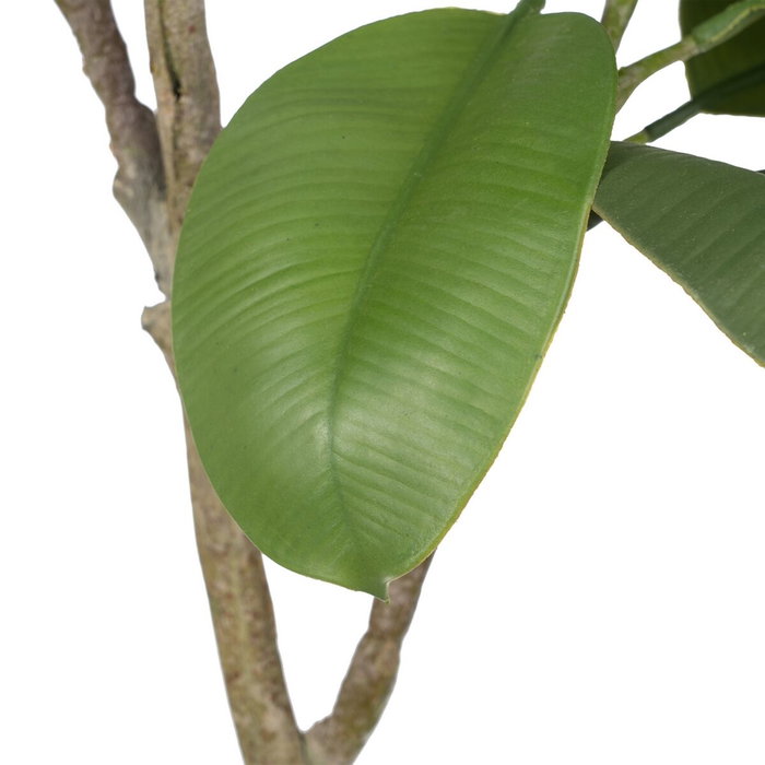 BigBuy Home Plante décorative 116 cm Vert PVC Chêne BigBuy Home Plante décorative 116 cm Vert PVC Chêne