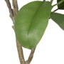 BigBuy Home Plante décorative 116 cm Vert PVC Chêne