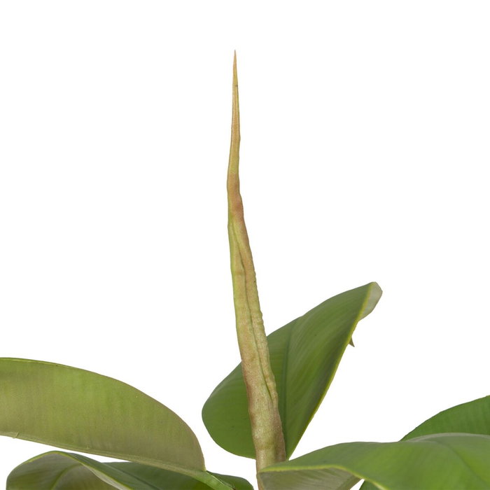 BigBuy Home Plante décorative 116 cm Vert PVC Chêne BigBuy Home Plante décorative 116 cm Vert PVC Chêne