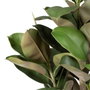 BigBuy Home Plante décorative 134 cm Vert PVC Chêne